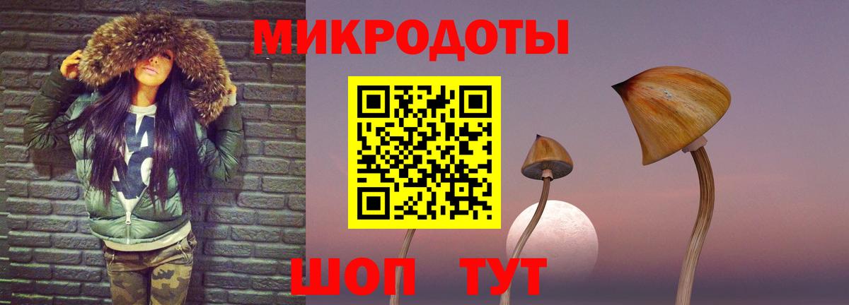 Фролово  Галлюциногенные грибы Psilocybe  Вход с VPN 